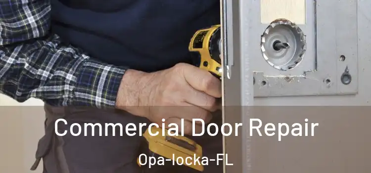  Commercial Door Repair Opa-locka-FL