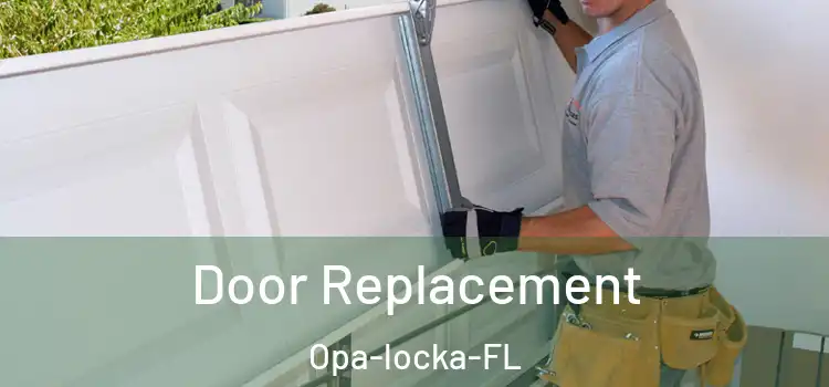 Door Replacement Opa-locka-FL