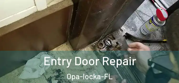 Entry Door Repair Opa-locka-FL