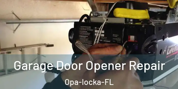 Garage Door Opener Repair Opa-locka-FL