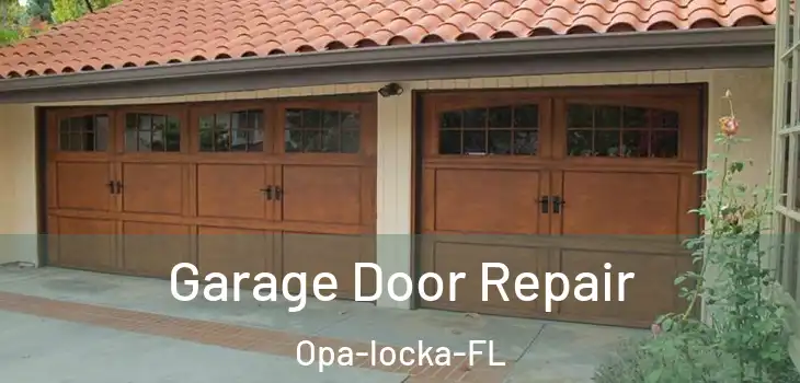  Garage Door Repair Opa-locka-FL
