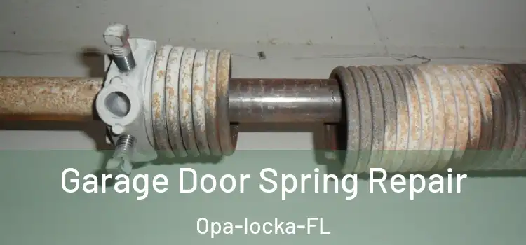  Garage Door Spring Repair Opa-locka-FL