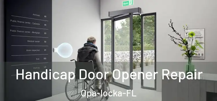 Handicap Door Opener Repair Opa-locka-FL