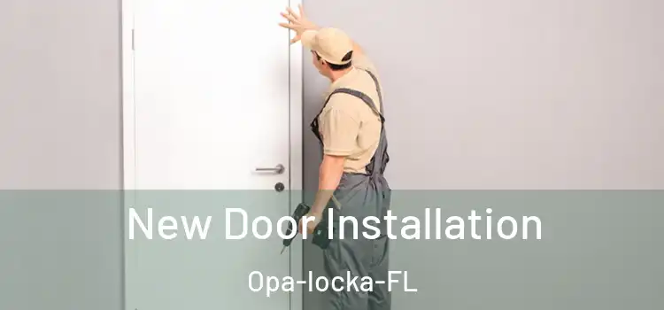  New Door Installation Opa-locka-FL