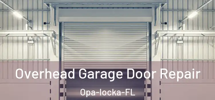 Overhead Garage Door Repair Opa-locka-FL