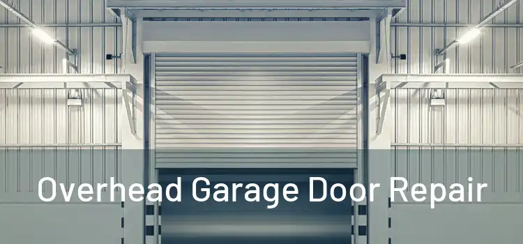  Overhead Garage Door Repair 